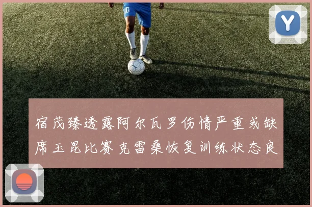宿茂臻透露阿尔瓦罗伤情严重或缺席玉昆比赛克雷桑恢复训练状态良好