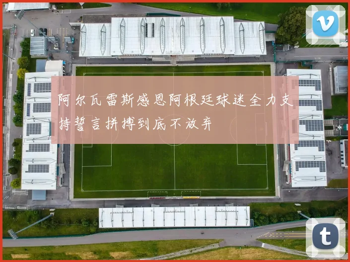 阿尔瓦雷斯感恩阿根廷球迷全力支持誓言拼搏到底不放弃