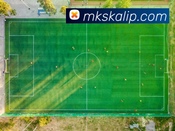 App 展示图